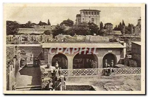 Italie Italie Roma Cartes postales Casa di Livia