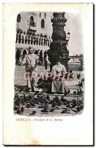 VEnezia Cartes postales Piccioni di s Marco Italie Italia pigeons