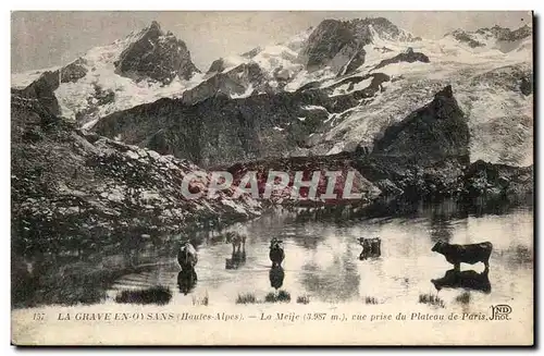 La Grave en Oysans Ansichtskarte AK La Meije vue prise du plateau de Paris (vaches)