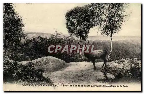 Cartes postales Foret de Fontainebleau Point de vue cerf biche chevreuil