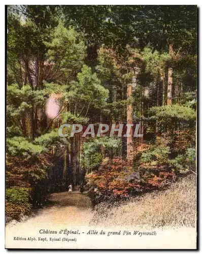 Cartes postales Chateau d'Epinal Allee du grand Pin Weymouth