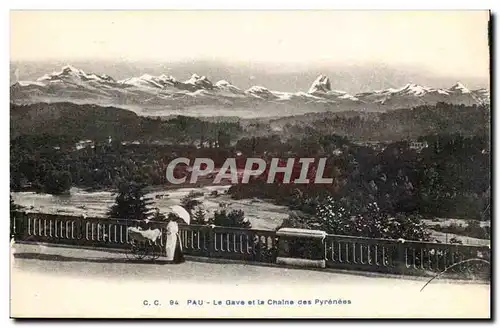 Pau Cartes postales Le Gave et a chaine des Pyrenees