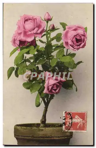 Ansichtskarte AK FAntaisie Rose Fleur