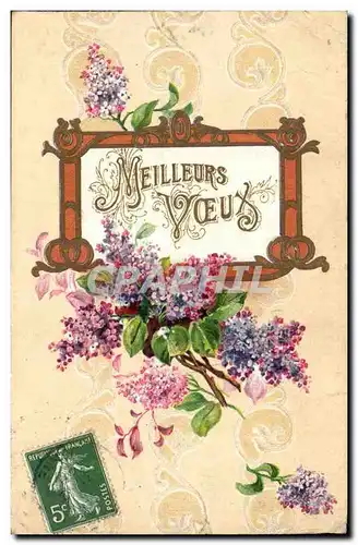 Cartes postales Fantaisie Meilleurs voeux (relief tres belle carte)
