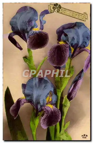 Cartes postales Fantaisie Bonne fete Fleurs