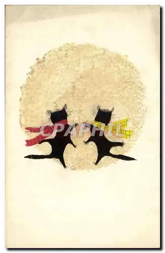 Cartes postales Fantaisie Chats cats