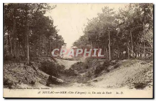 Soulac sur Mer Cartes postales Un coin de foret