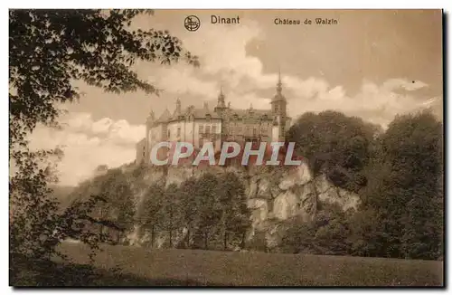 Belgique - Belgien - Belgium - Dinant - Chateau de Walzin - Ansichtskarte AK