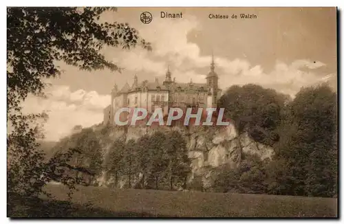 Belgique - Belgien - Belgium - Dinant - Chateau de Walzin - Cartes postales