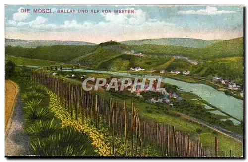 Die Mosel Ansichtskarte AK Bullay und Alf von Westen