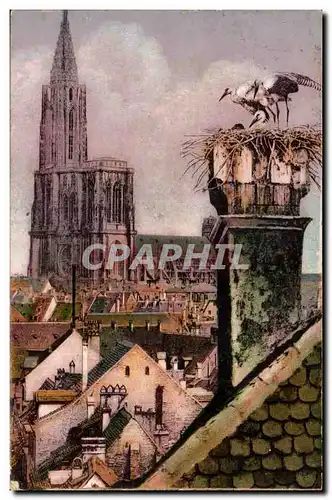 Strassburg Cartes postales Cathedrale et cigognes