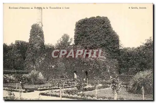 Environs d&#39Ancenis Cartes postales Ruines de la Tumeliere a Lire (Joachim du Bellay)