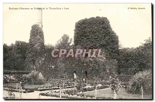 Environs d&#39Ancenis Ansichtskarte AK Ruines de la Turmeliere a Lire (du Bellay)