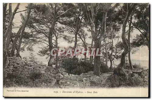 Environs d&#39Hyeres Cartes postales Sous bois