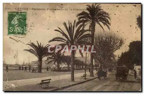 Cannes Cartes postales Palmiers Promenade de la CRoisette
