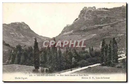 Cartes postales Salins les Bains Fort Saint Andre et fort Belin