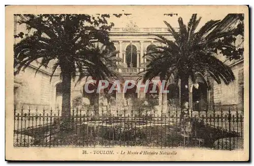 Toulon Cartes postales Le musee d'histoire naturelle