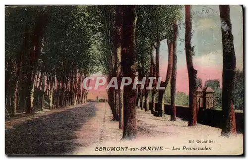 Beaumont sur Sarthe Cartes postales Les promenades