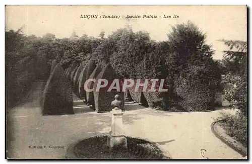 Lucon Cartes postales Jardin public Les lis