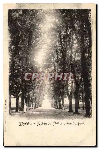 Chablis - Alee du Patis prise du fond -