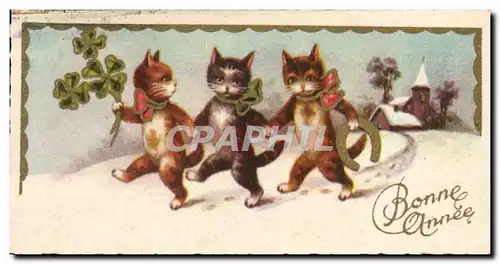 Ansichtskarte AK Fantaise Chats (carte petit format) (chat cat)