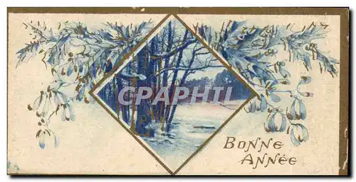 Cartes postales Fantaise Bonne annee (carte petit format)