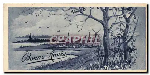 Cartes postales Fantaise Bonne annee (carte petit format)