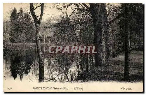 Montlignon Cartes postales L'etang