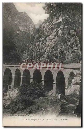 Algerie Ansichtskarte AK Les gorges du Chabet el Akra Ansichtskarte AK Le pont