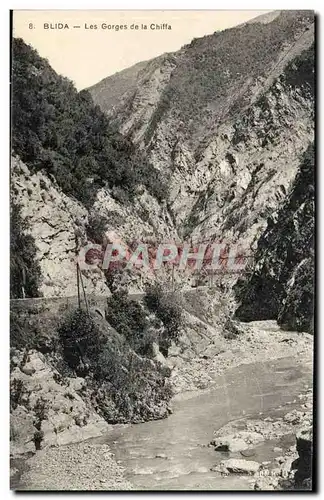 Algerie Blida Cartes postales Gorges de la Chiffa