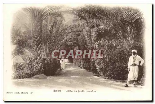 Algerie Biskra Ansichtskarte AK Allee du jardin Landon