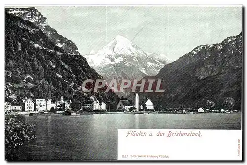 Suisse Cartes postales Fluelen u der Bristenstock