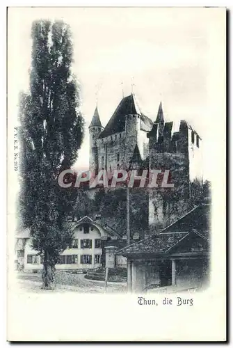 Suisse Cartes postales Thun die Burg