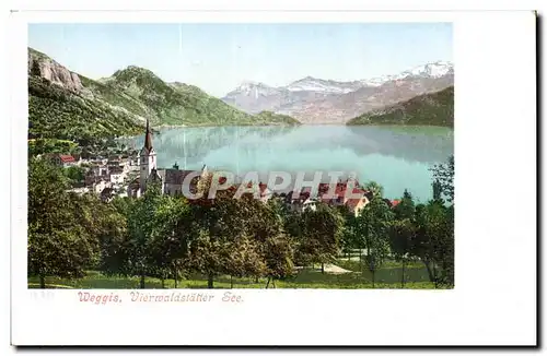 Suisse Cartes postales Weggis Vierwaldstatter See