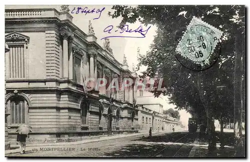 Montpellier - Le Musee - Cartes postales