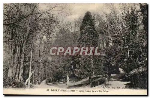 Niort Ansichtskarte AK Allee basse du jardin public