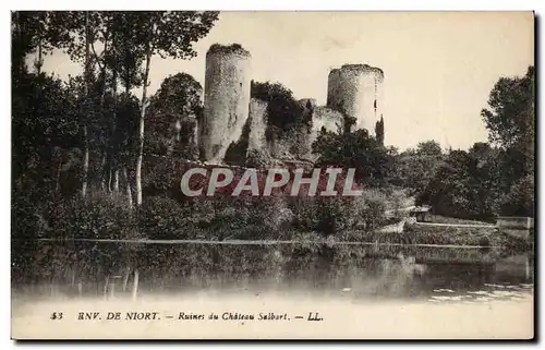 Environs de Niort Cartes postales Ruines du chateau Salbart