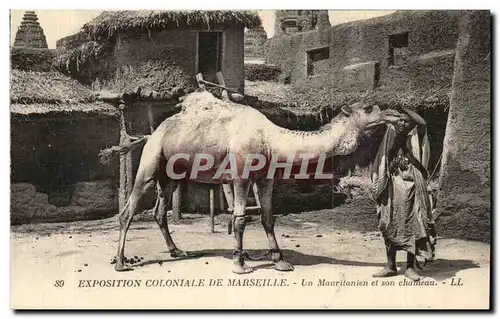 Cartes postales Exposition coloniale de Marseille Un Mauritanien et son chameau (camel)