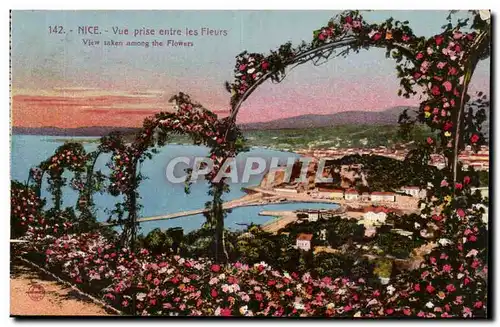 Nice Cartes postales Vue prise entre les fleurs