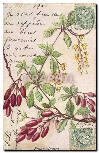 Cartes postales FAntaisie Fleurs