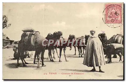 Tunisie Tunis Ansichtskarte AK Caravane de chameaux (camel)