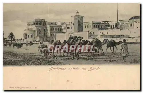 Tunisie Tunis Cartes postales Ancienne entree du Bardo (chameaux camel)