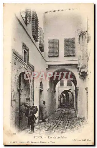 Tunisie Tunis Cartes postales Rue des Andalous