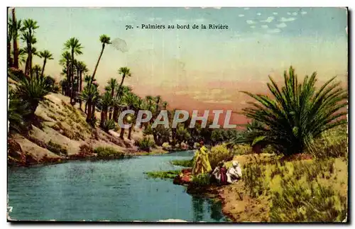 Algerie Cartes postales Palmiers au bord de la riviere