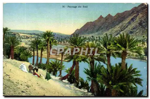 Algerie Ansichtskarte AK Paysage du sud (palmiers)