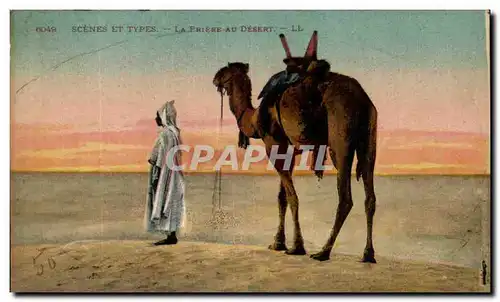 Algerie Scenes et types Ansichtskarte AK La priere au desert (camel dromadaire chameau)