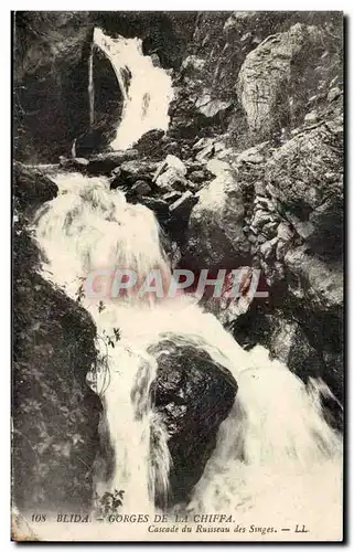 Algerie Blida Cartes postales Gorges de la Chiffra