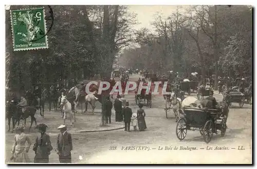 Paris Ansichtskarte AK Le bois de Boulogne Les acacias