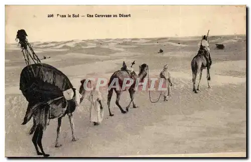 Cartes postales Dans le sud Une caravane dans le desert (chameau camel)