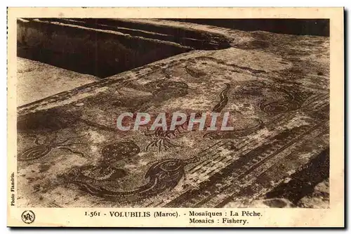Maroc Volubilis Cartes postales Mosaiques La peche